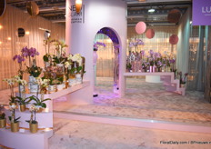 The Neo Giam Roman Empira of Sion.